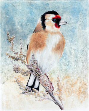 Goldfinch - Original Artwork
