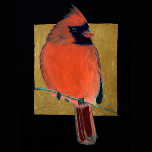 Red Cardinal