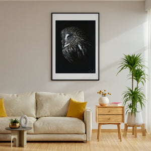 Great Grey Owl