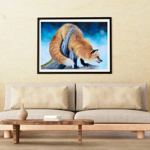 Red Fox
