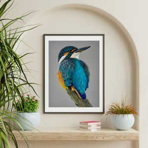 Kingfisher